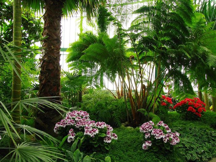 � ������ ����� �������. �� ����� ������, �������. ������ ����� ������������, ��� ����� ������.