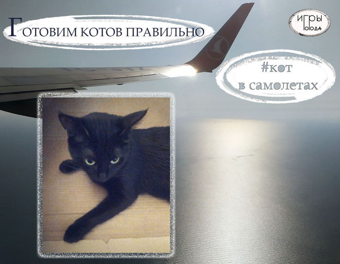 � ������� � �����. 2 �����