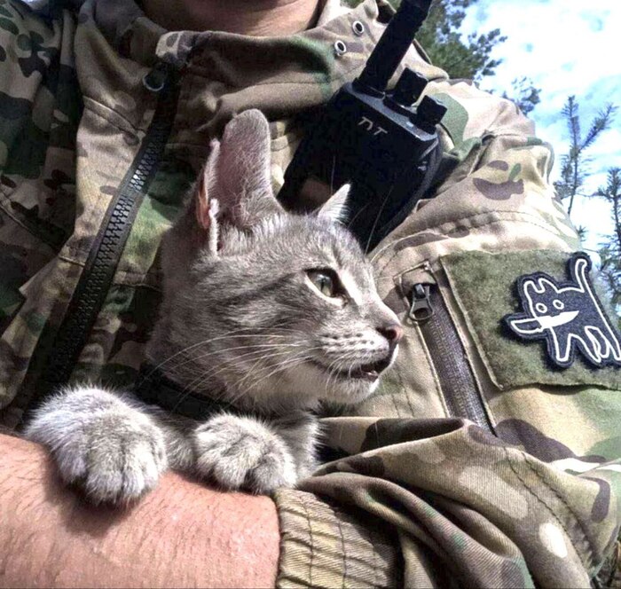 ������ ����� ������ ��� ������� �������!