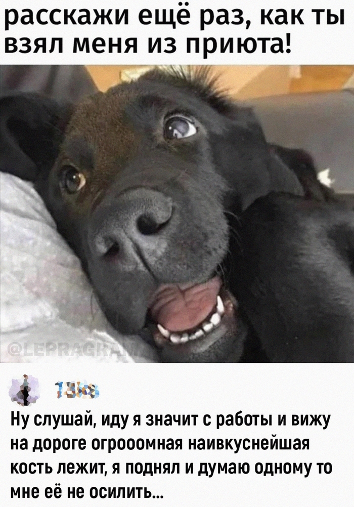 Немного милоты в ленту…