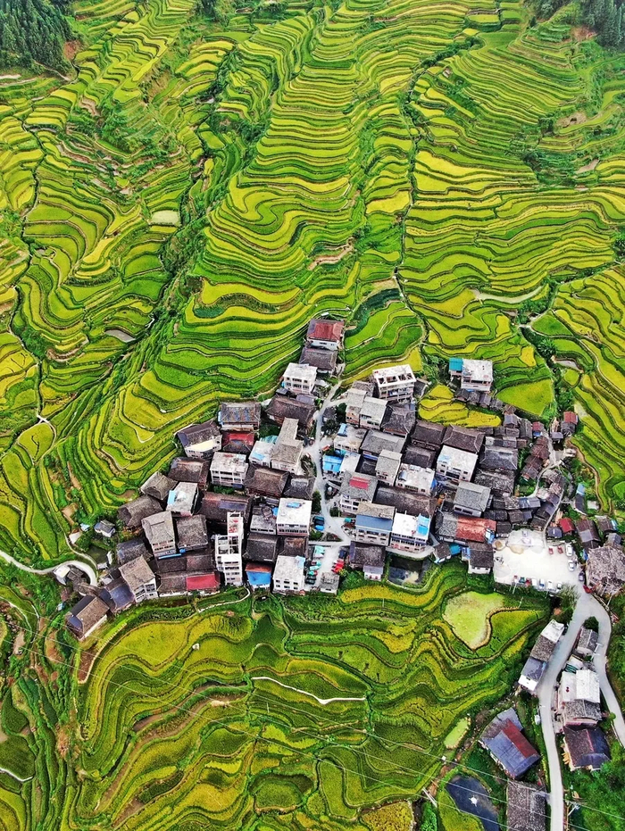 ����<a href="https://pikabu.ru/story/nebesnaya_zhitnitsa_kitaya_13781514?u=https%3A%2F%2Fmax.ru%2Fvokrugsveta1861%2FAZzQyc6lb7Q&t=%D0%BE%D1%82%D1%81%D1%8E%D0%B4%D0%B0&h=db421236dd98ea67cf468cfd708842b70d548e9a" title="https://max.ru/vokrugsveta1861/AZzQyc6lb7Q" target="_blank" rel="nofollow noopener"> ������</a>