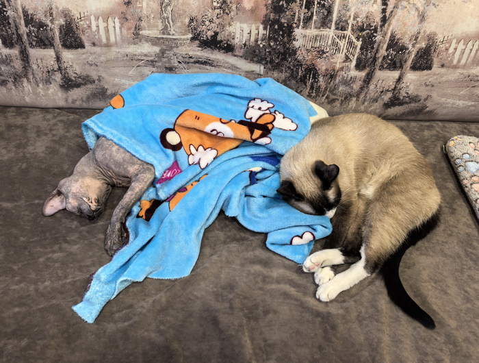 ��������� � ��������