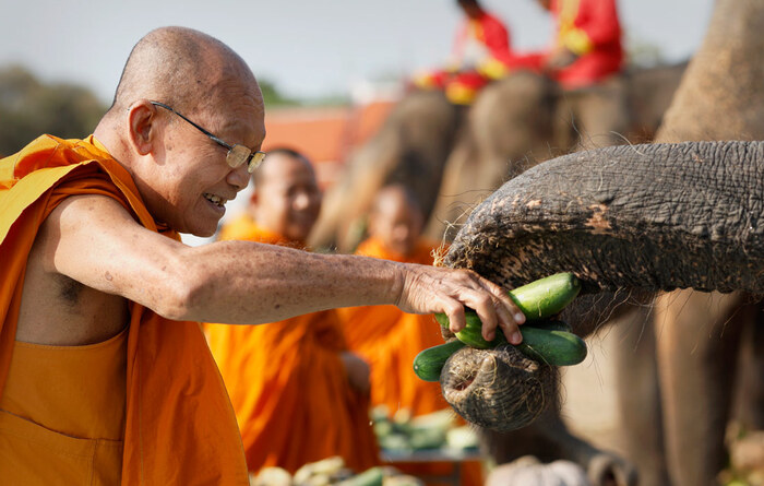 ������������ ���� ����� �������� � ��������