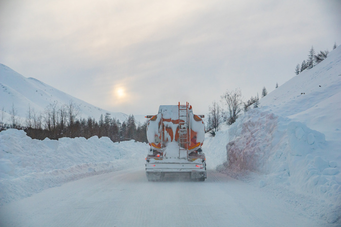 ������ ������