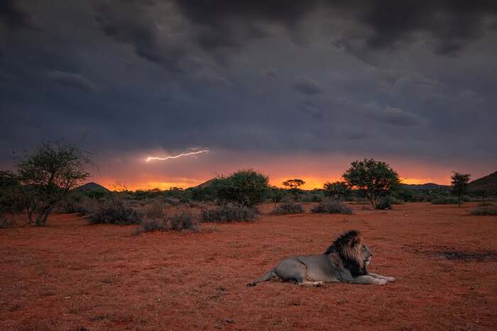 ����� � ��������