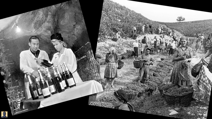 ���� ��������� ��� ������������ �����������.