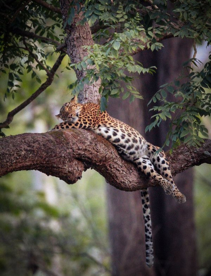 ���������, ����� ���� ����� �����