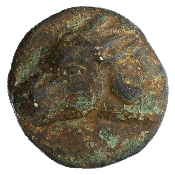 �� ������� ������ �����