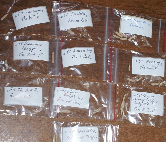 ������ �������� �������, ������ �������� ��� ���������.