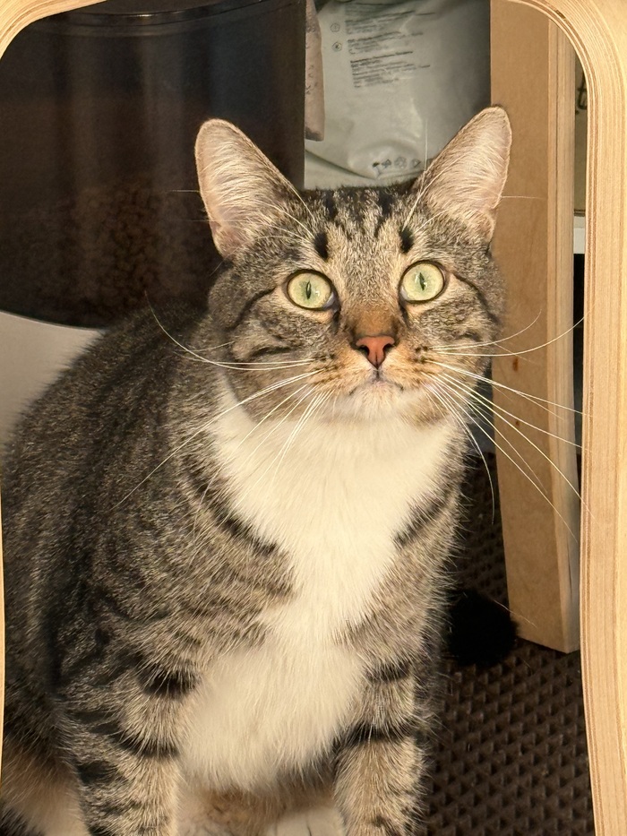 ����� �������, ��� ���� ����� 40, � �� 30