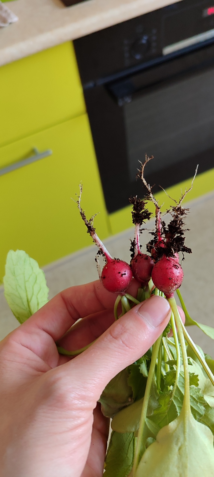 ������ ������, ���������� �� �������������� ������� �� ����� � ������-���