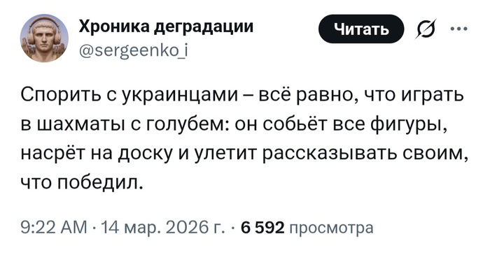 Лучше все-таки с голубем сыграть