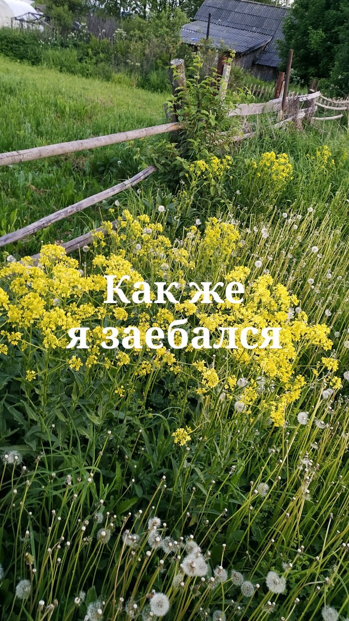 �� ���� �����