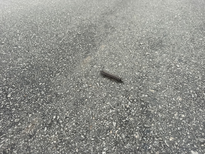 ������� �����