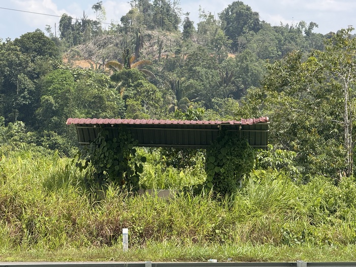 ��������� ����������� ��� �� ����