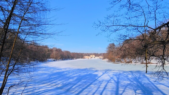 Верхний пруд. Вид на конюшню (на месте парка была усадьба князей Голицыных)