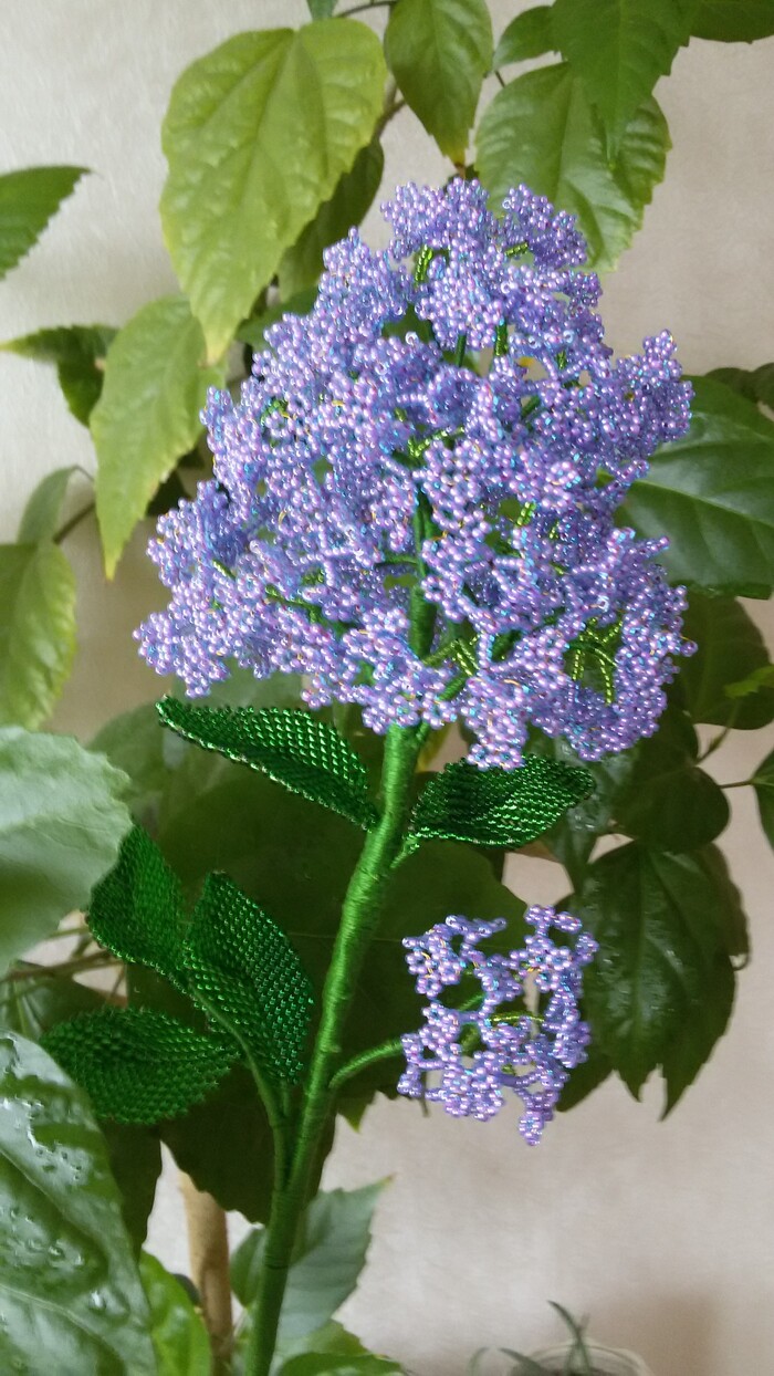 ������� ������ �� ������!