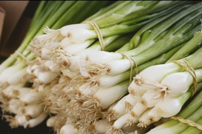 ������� ���