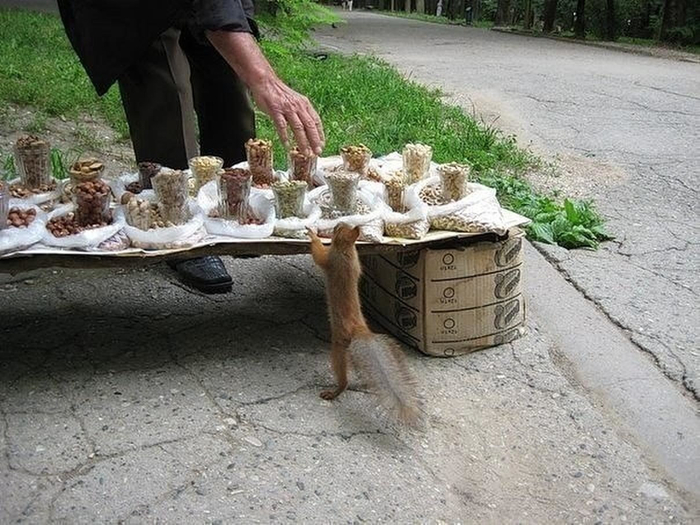 ������ ����������