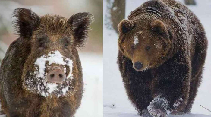 ���� �� � ���. ����� ������ ����� �������� ����� � �� ��������