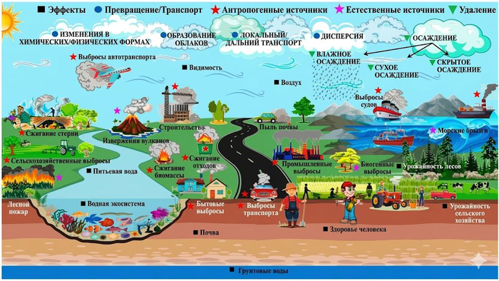 Как природа может быть врачом и инженером мегаполиса