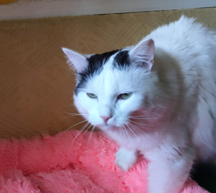 ���������� ������� "������ ����������"