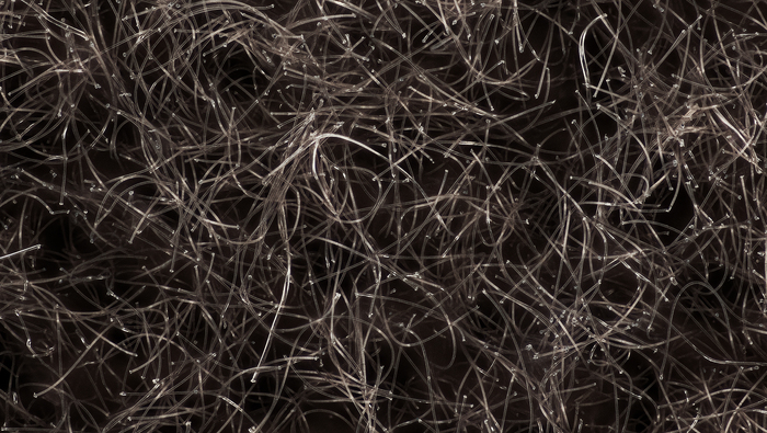 ����� ����. ������ ������� ������ �� ����� ������. 