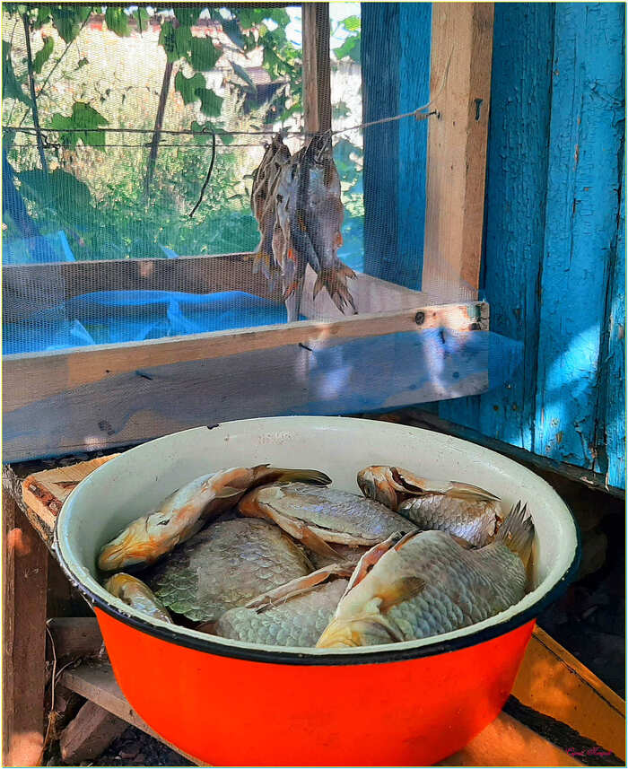 ����...�� �������