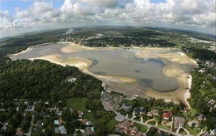 ����� ����� � ��������. �������� ����: ������.��������