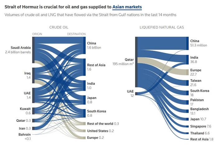 �� ������ ����, ��� �� �������, ���� sosnooley ��������� ������: ���������, ������, ��������, ����� � ������ ����� �����-������ ���������� �� �������� ������������� ������ �� ����� �������