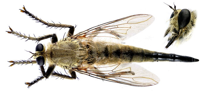 �����. ����-������, ������� ���������� ������������ ����� �����