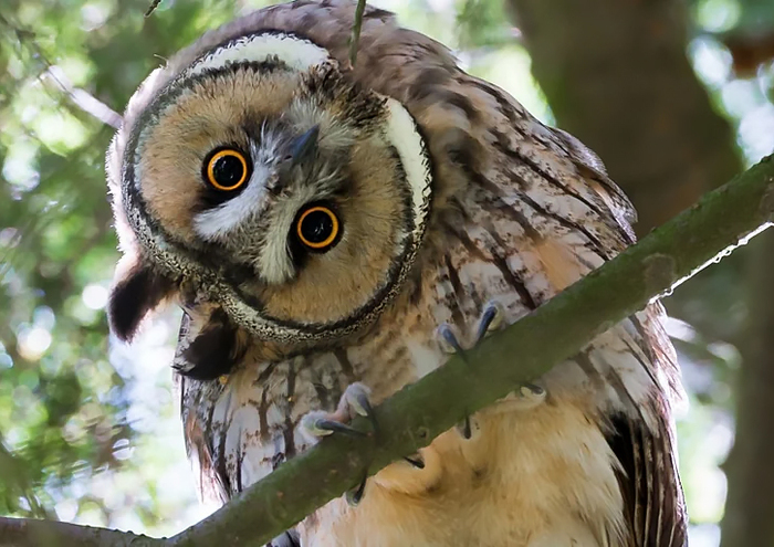 ��, ���, � � ��� ����!