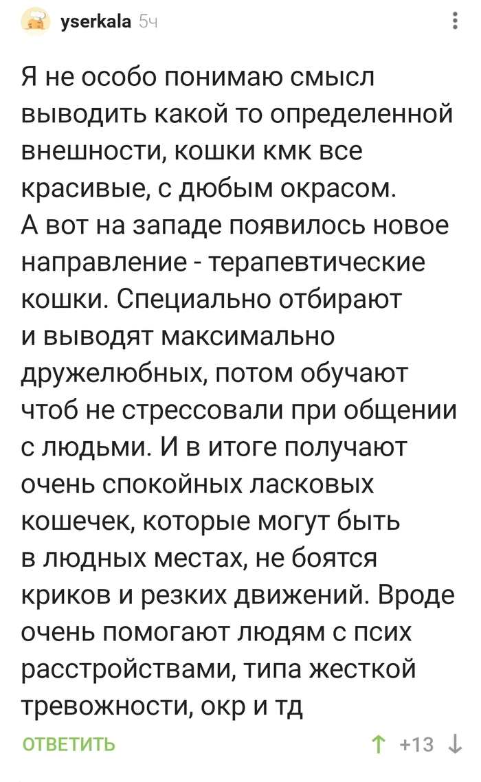 ��������������� �������