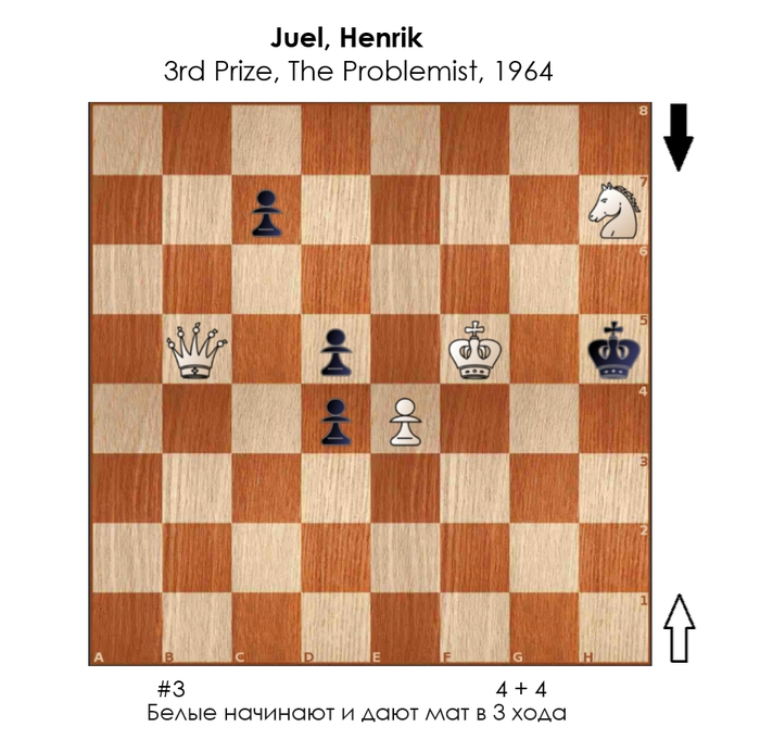 ������������ #244