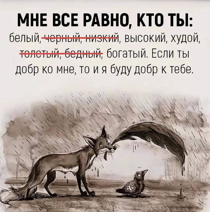 ������ �����