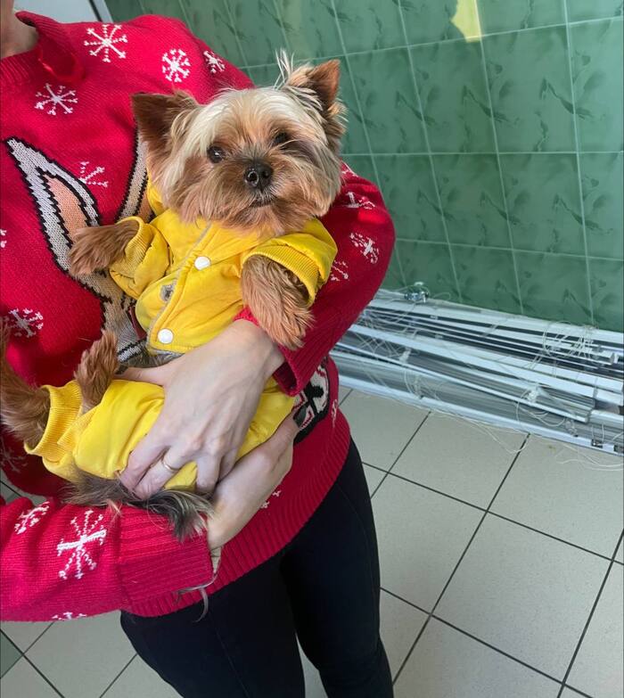 ��� ���� ����� ��� � ����� ����� 