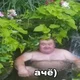 ������ ������������ Kaivu