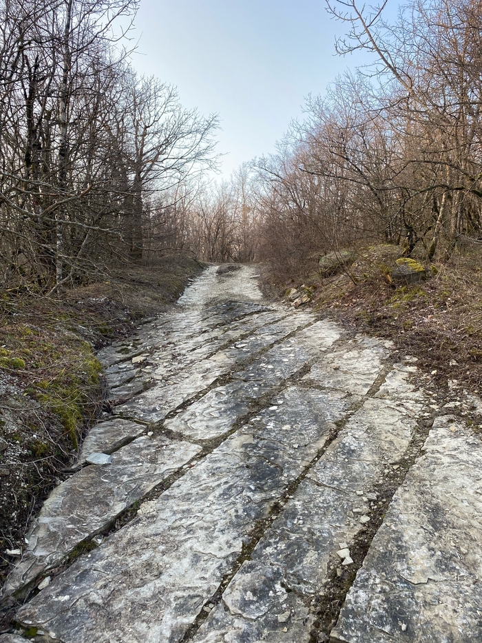 ��������� �����