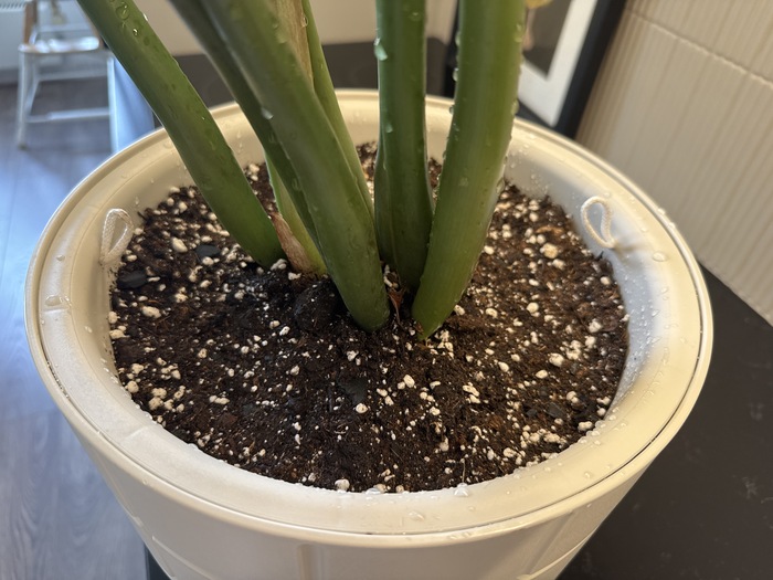 ��������� ������� ������� � �����