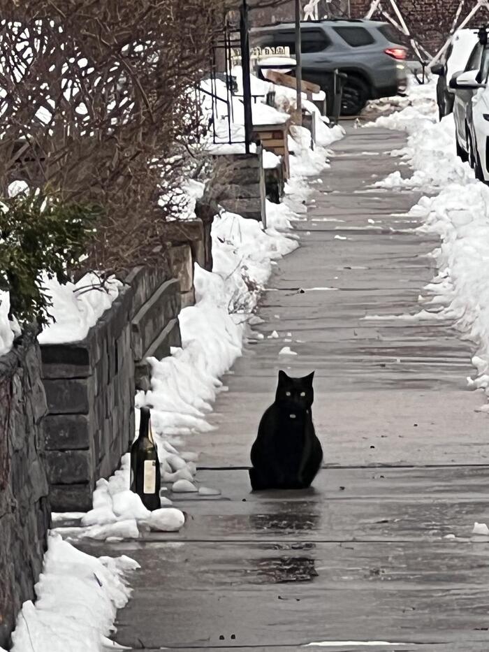 Настроение после ударно проведенных выходных: хмуро
