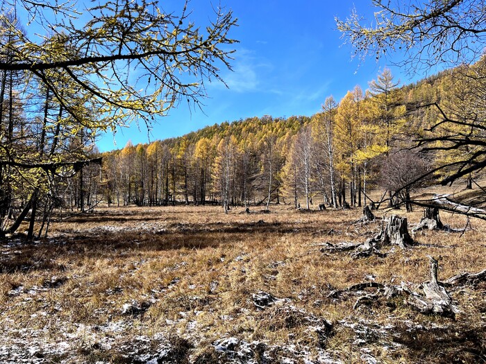 ����� � �����