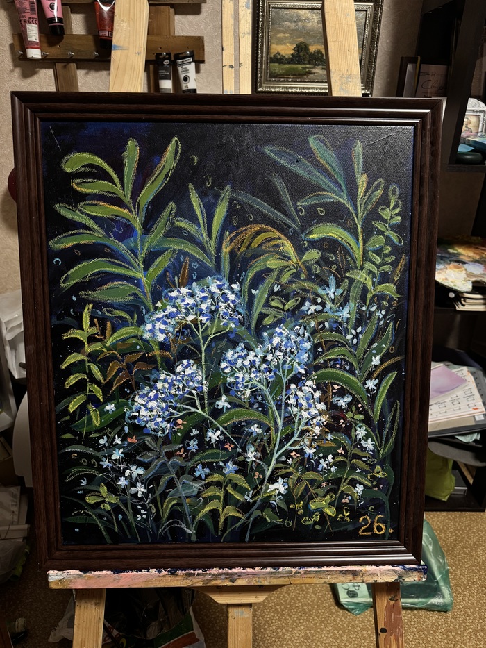 �����/�����/�������� �������