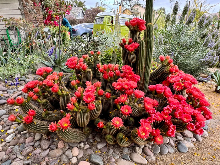 ������� ������ � ����������