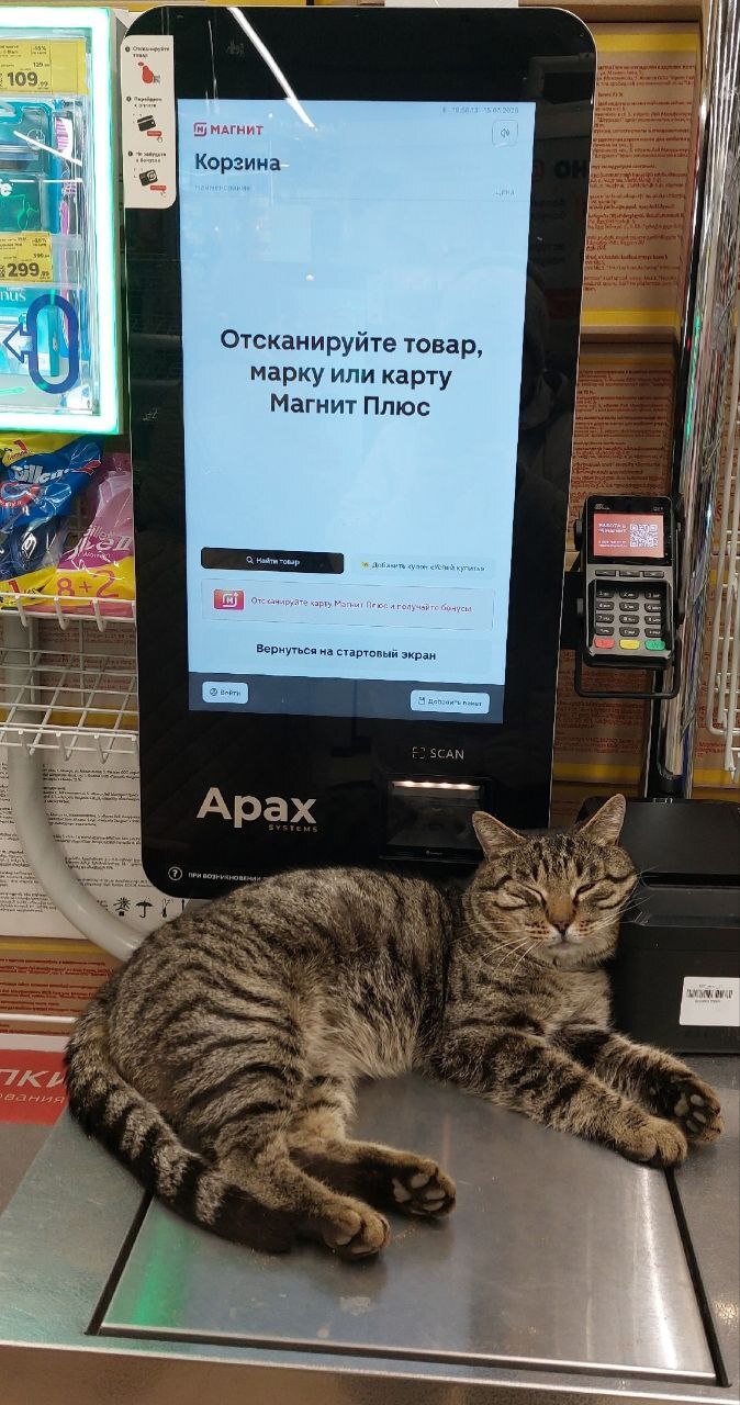 Отсканируйте штрих кот