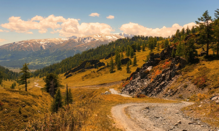 �����-����������� ������. ������ �����, ���.