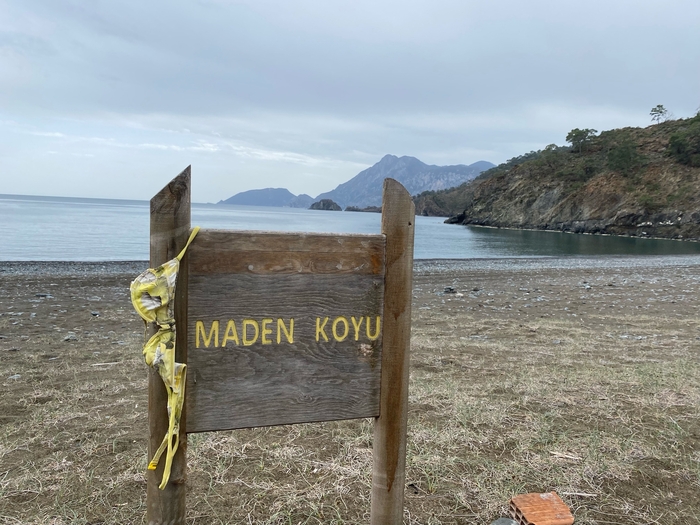 ����� ����� �������