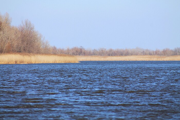Полдень у реки