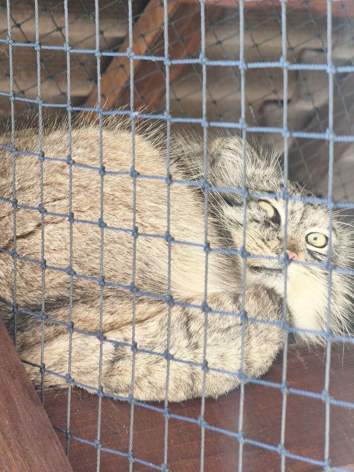 ���� �������?