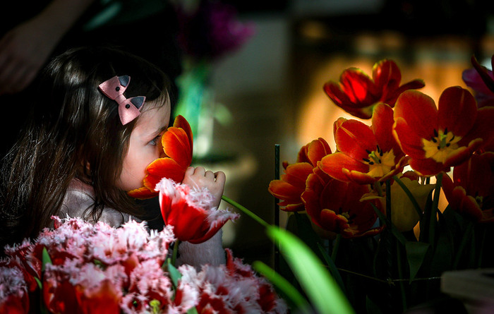 �������� "����� � ����������� ����������" � ������//����: ����� �������/����