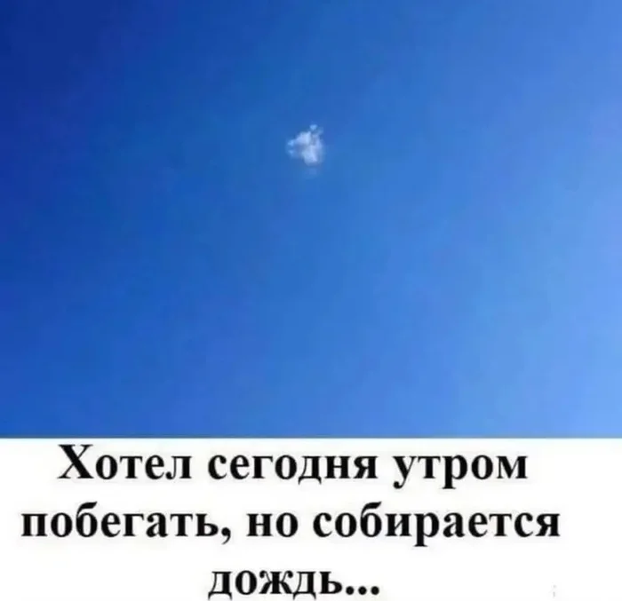nfbexzoa.webp